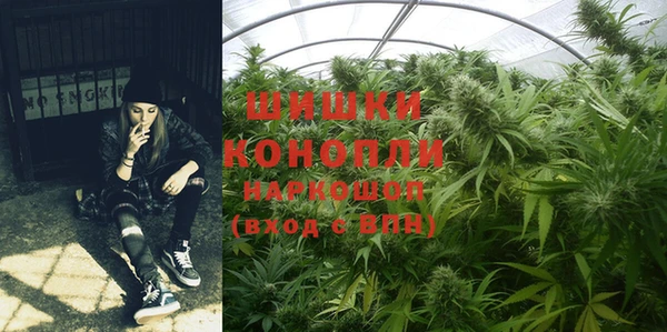 бошки Алексин