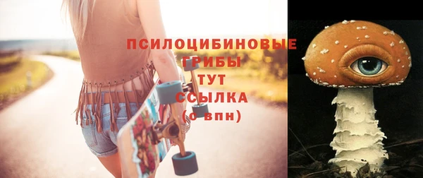 скорость Алзамай