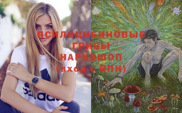 бутират Алексеевка