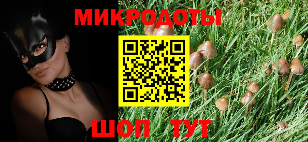 хочу   Галлюциногенные грибы прущие грибы  Вход с VPN  Сунжа 